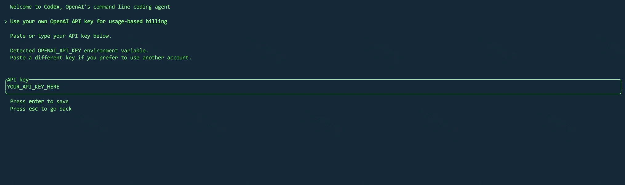 点击放大 Codex CLI API 密钥页:已检测到 OPENAI_API_KEY,输入框为 YOUR_API_KEY_HERE