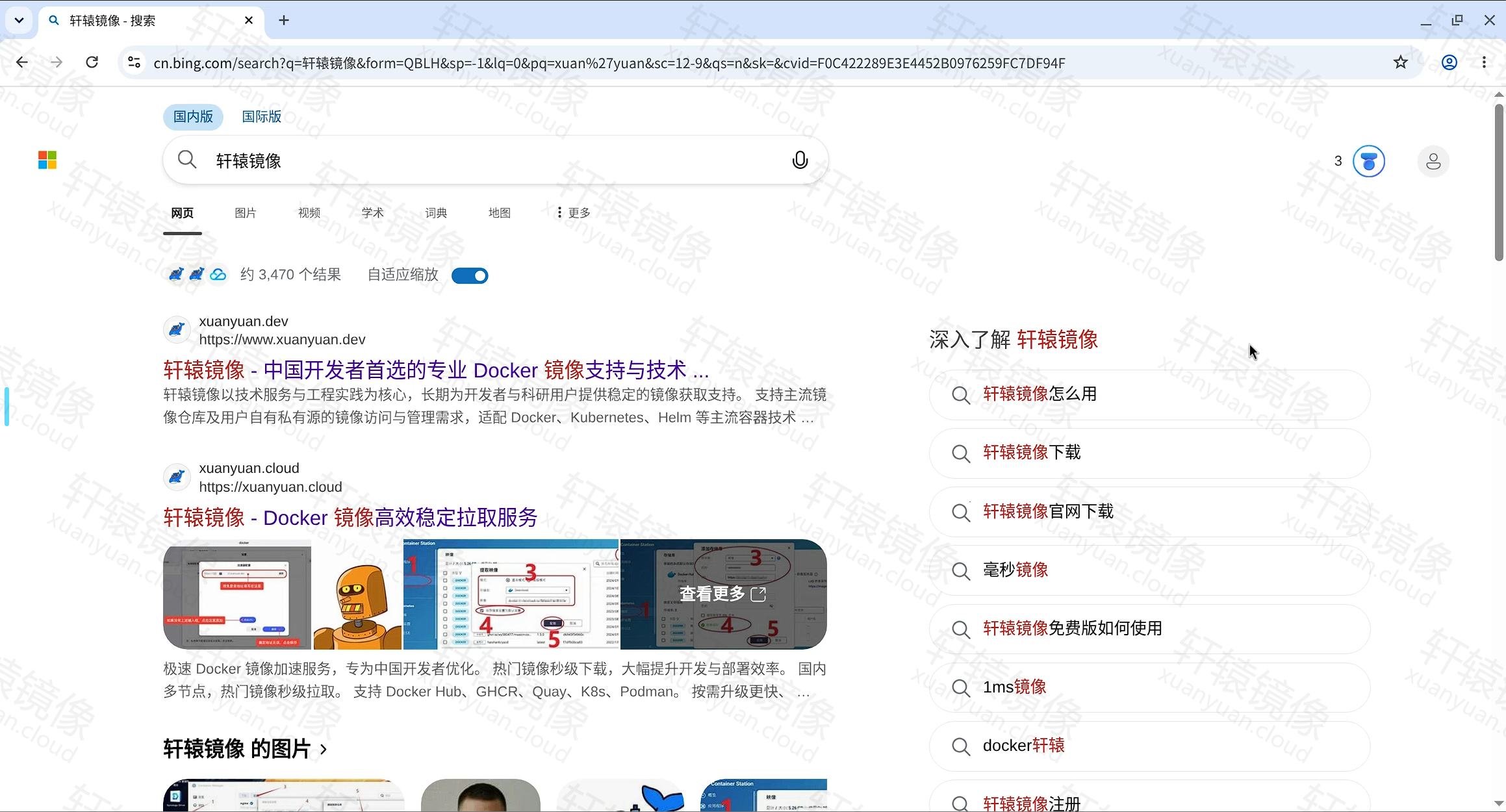 点击放大 浏览器访问远程 Chrome 桌面,搜索结果界面