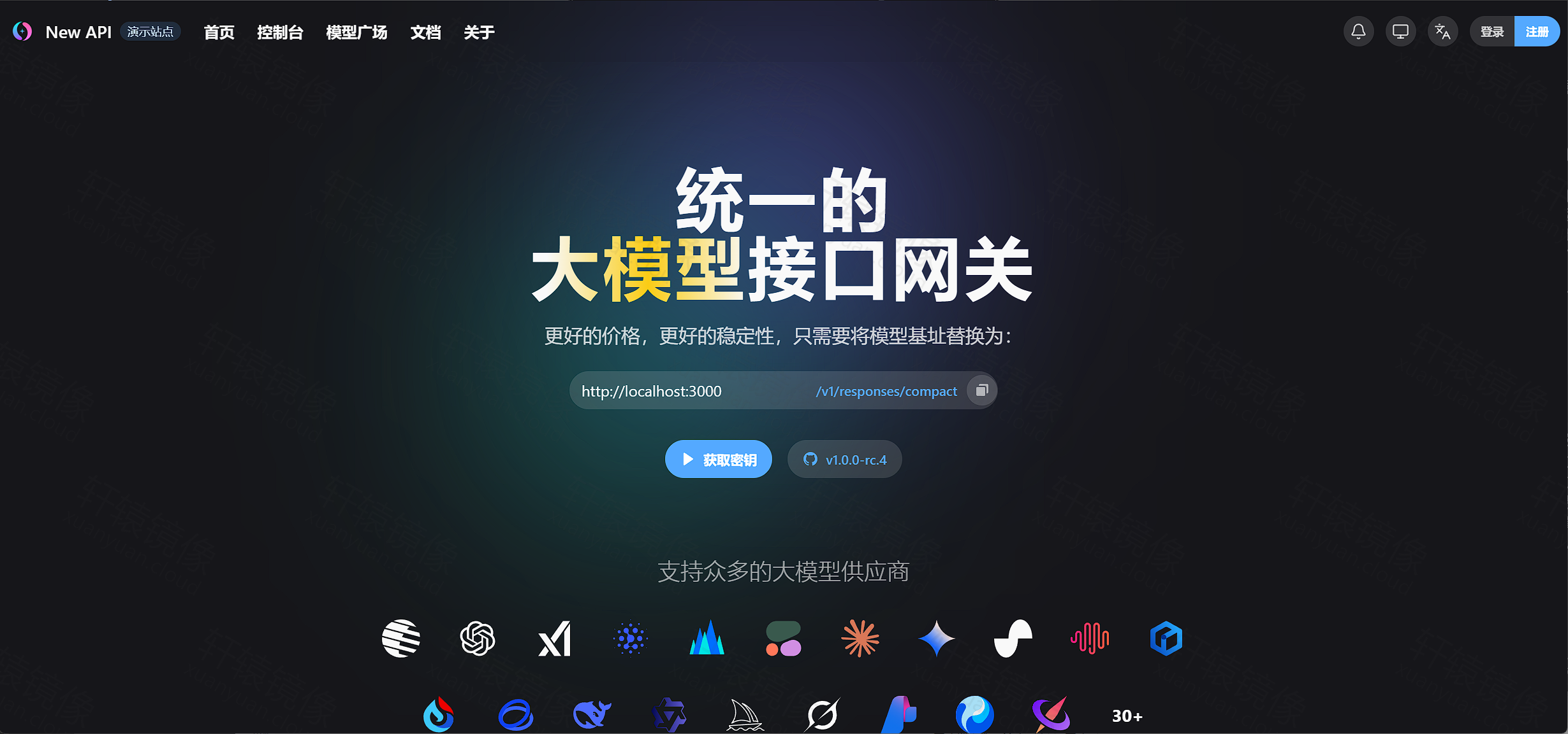 点击放大 new-api 首页