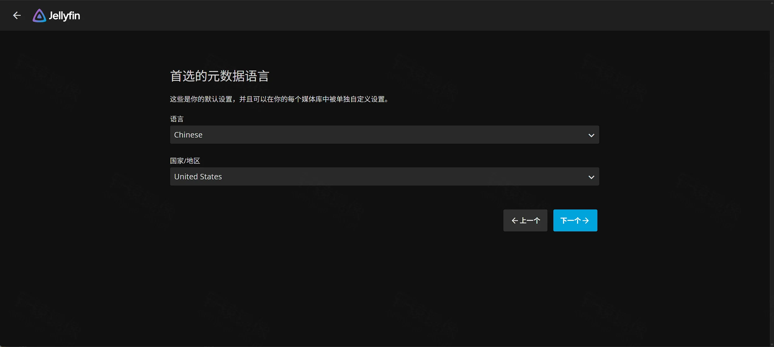点击放大 Jellyfin 首选元数据语言:语言 Chinese,国家地区 United States