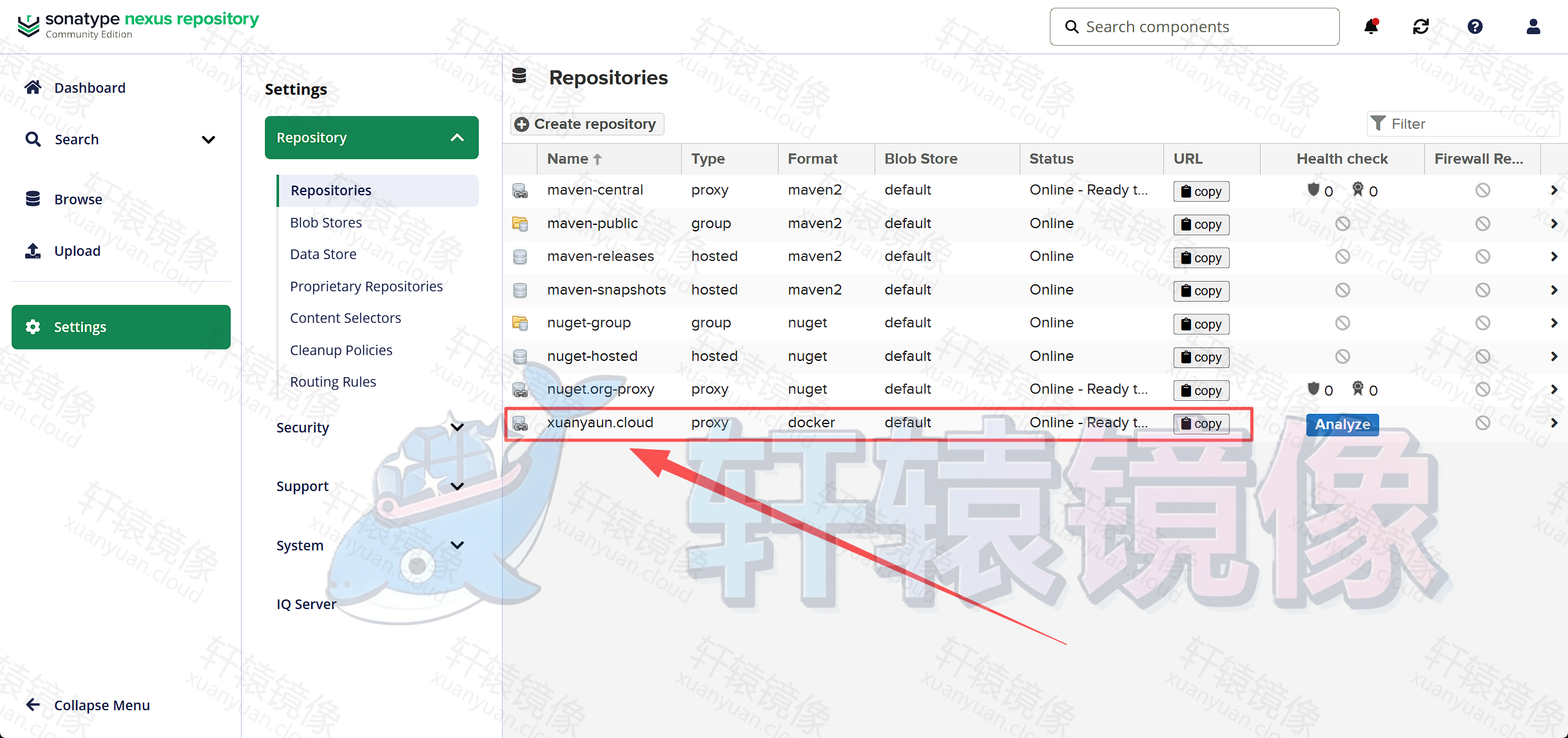 Nexus Docker Proxy 仓库创建完成后的界面