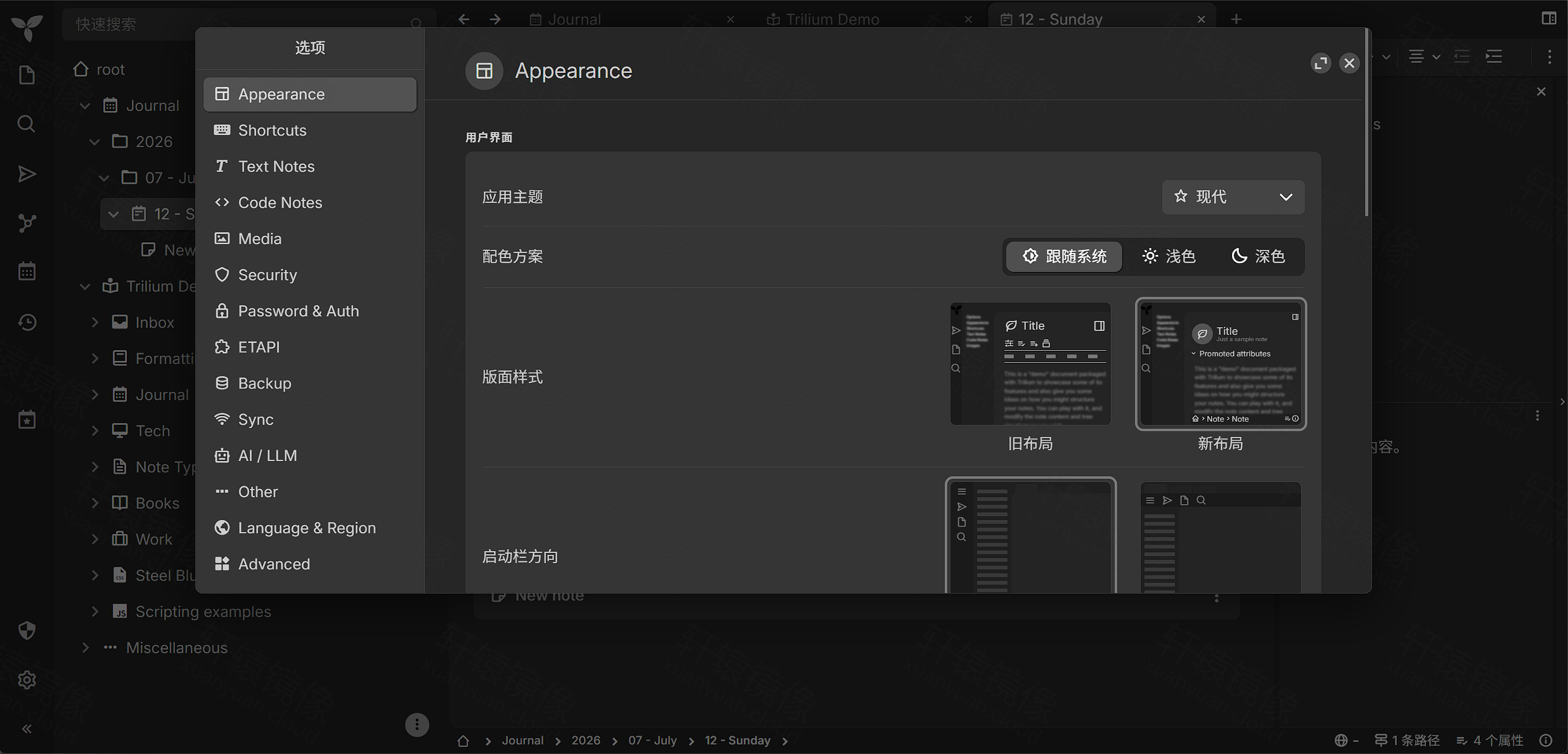 点击放大 Trilium 选项:外观主题与深色模式