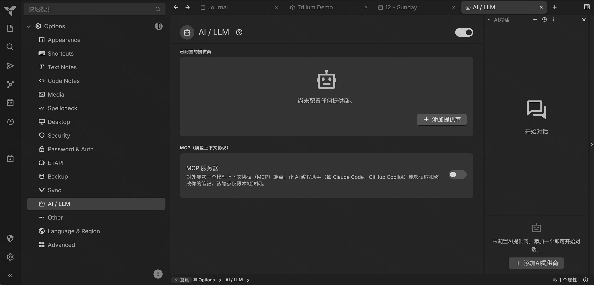 点击放大 Trilium 选项:AI 提供商与 MCP 配置