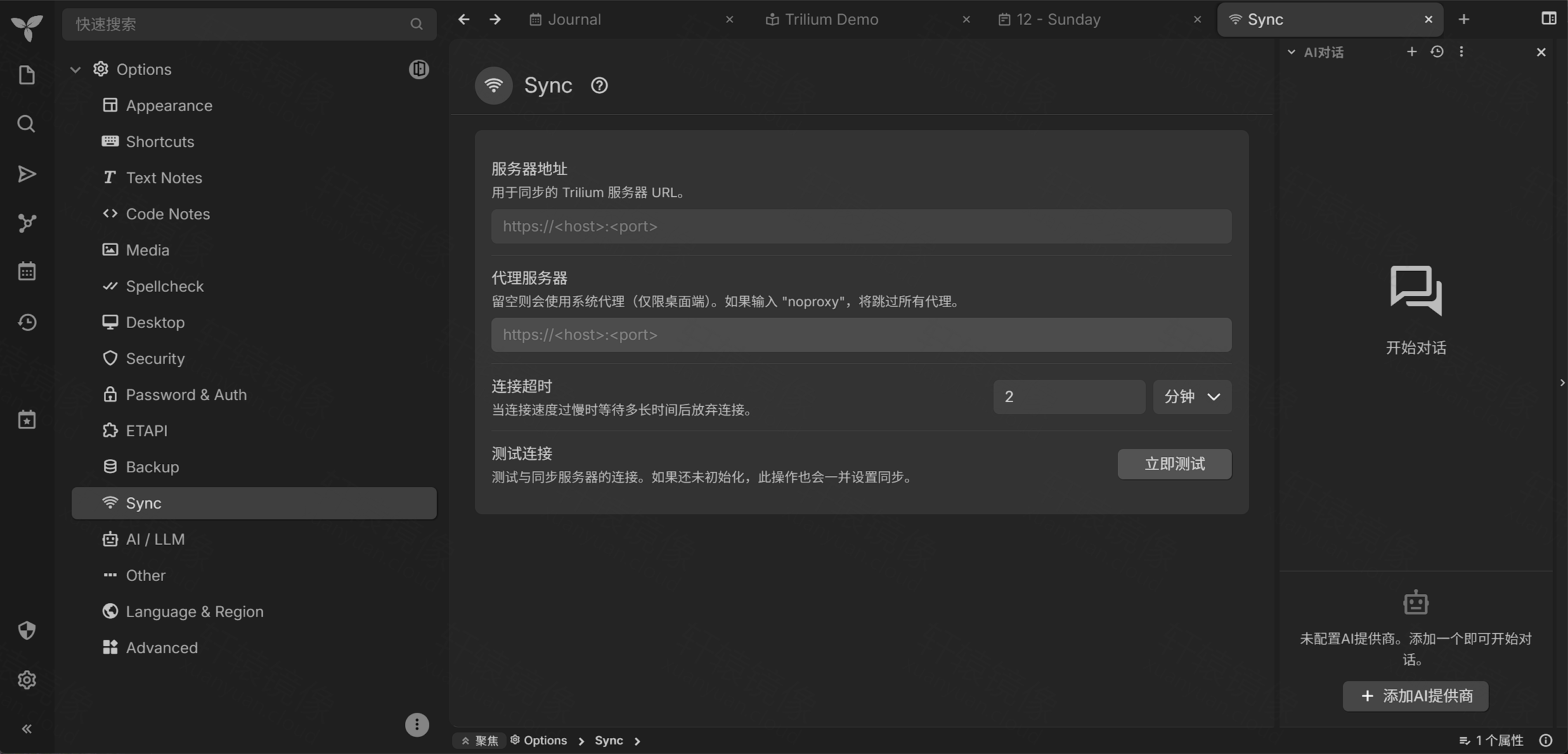点击放大 Trilium 选项:同步服务器地址配置