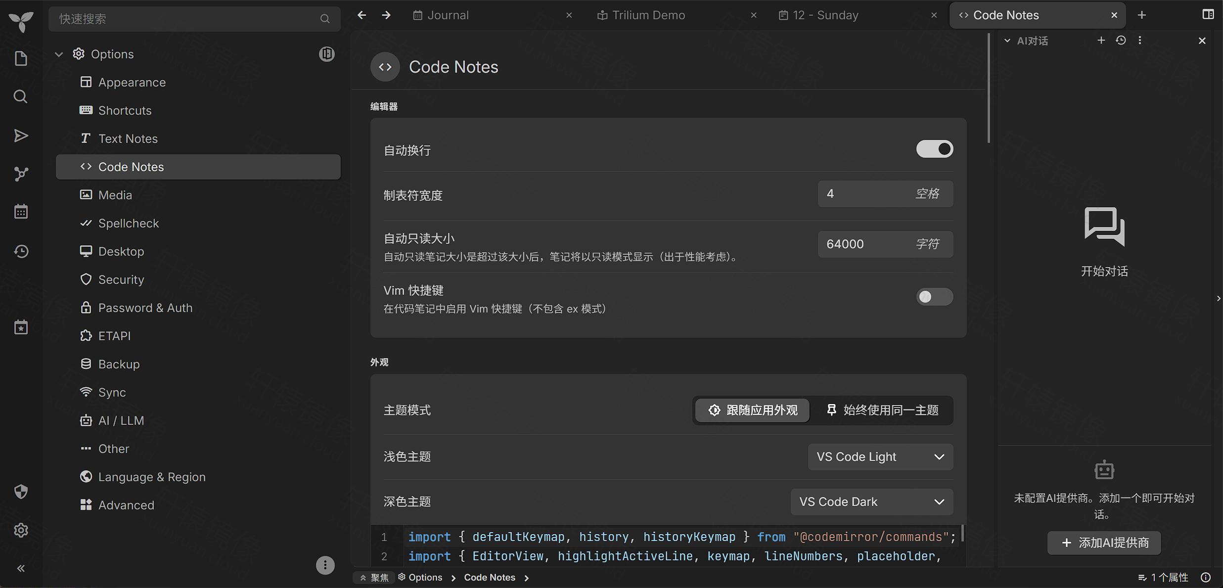 点击放大 Trilium 选项:代码笔记编辑器与 Vim 配置